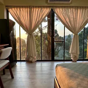  Farm stay Bao Sheng Durian Farm Malaysia